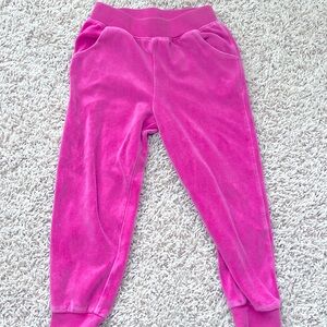 Comfy Janie and Jack hot pink velour joggers